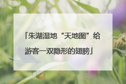 朱湖湿地“天地图”给游客一双隐形的翅膀