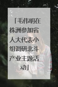 毛伟明在株洲参加省人大代表小组调研北斗产业主题活动