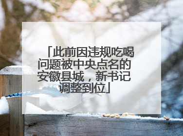 此前因违规吃喝问题被中央点名的安徽县城，新书记调整到位