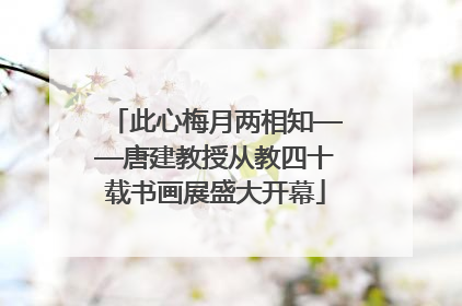 此心梅月两相知——唐建教授从教四十载书画展盛大开幕