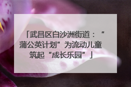 武昌区白沙洲街道：“蒲公英计划”为流动儿童筑起“成长乐园”