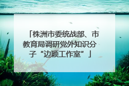 株洲市委统战部、市教育局调研党外知识分子“边颖工作室”