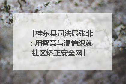 桂东县司法局张菲：用智慧与温情织就社区矫正安全网