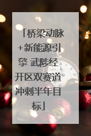 桥梁动脉+新能源引擎 武陟经开区双赛道冲刺半年目标