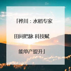 桦川：水稻专家田间把脉 科技赋能单产提升