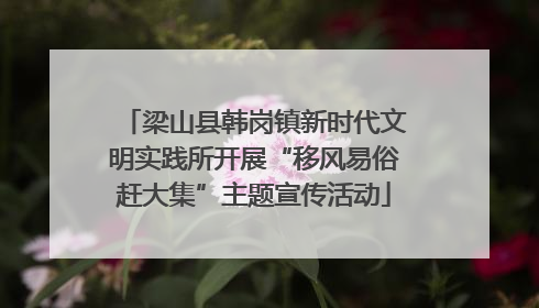 梁山县韩岗镇新时代文明实践所开展“移风易俗赶大集”主题宣传活动