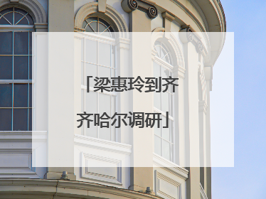 梁惠玲到齐齐哈尔调研