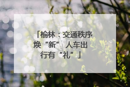 榆林：交通秩序焕“新” 人车出行有“礼”