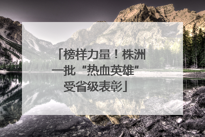 榜样力量！株洲一批“热血英雄”受省级表彰