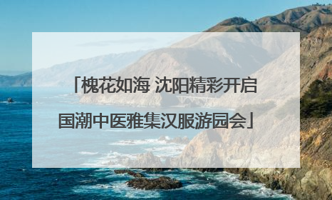 槐花如海 沈阳精彩开启国潮中医雅集汉服游园会