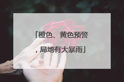 橙色、黄色预警，局地有大暴雨