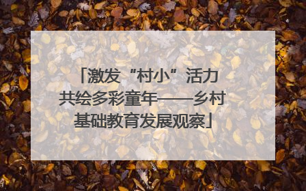 激发“村小”活力 共绘多彩童年——乡村基础教育发展观察