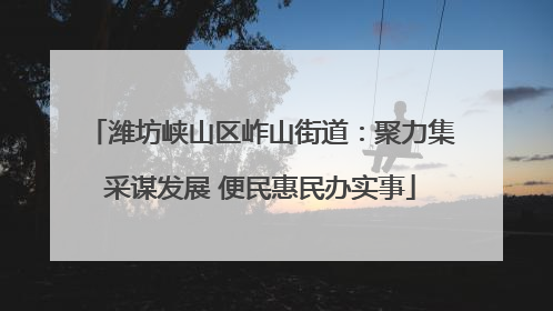 潍坊峡山区岞山街道：聚力集采谋发展 便民惠民办实事