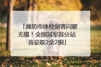 潍坊市体校剑客闪耀无锡！全国冠军赛分站赛豪取2金2铜