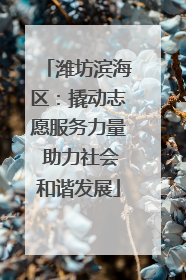 潍坊滨海区：撬动志愿服务力量 助力社会和谐发展