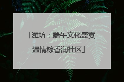 潍坊：端午文化盛宴 温情粽香润社区