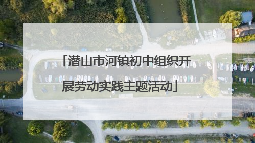 潜山市河镇初中组织开展劳动实践主题活动