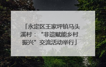 永定区王家坪镇马头溪村：“非遗赋能乡村振兴”交流活动举行
