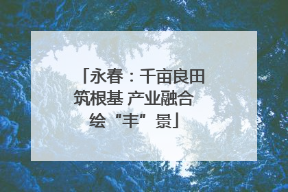 永春：千亩良田筑根基 产业融合绘“丰”景