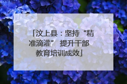 汶上县：坚持“精准滴灌” 提升干部教育培训成效