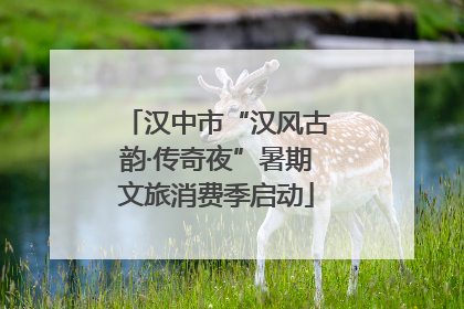 汉中市“汉风古韵·传奇夜”暑期文旅消费季启动
