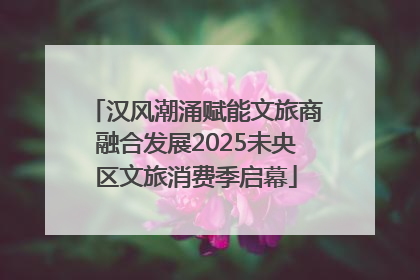 汉风潮涌赋能文旅商融合发展2025未央区文旅消费季启幕