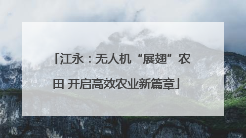 江永：无人机“展翅”农田 开启高效农业新篇章