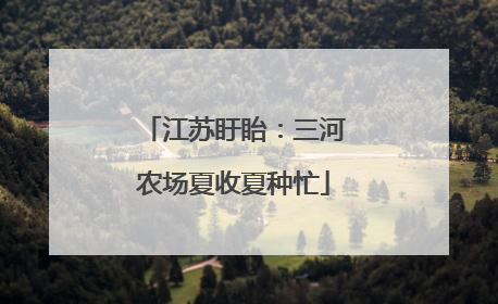 江苏盱眙：三河农场夏收夏种忙