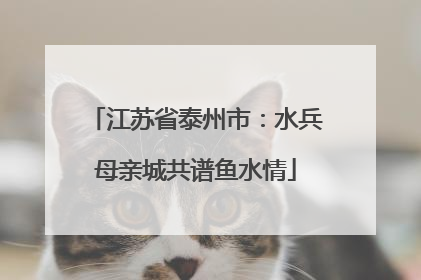 江苏省泰州市：水兵母亲城共谱鱼水情