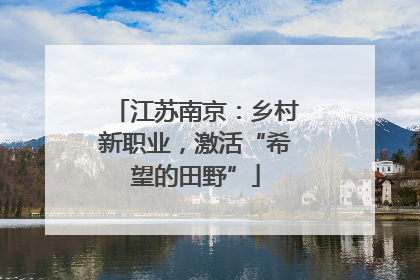 江苏南京：乡村新职业，激活“希望的田野”
