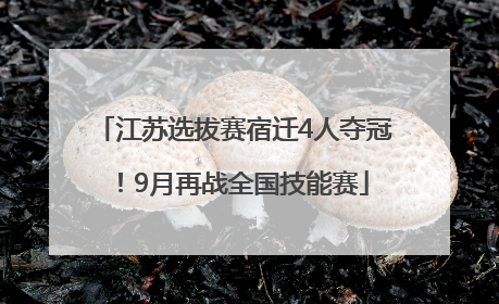 江苏选拔赛宿迁4人夺冠！9月再战全国技能赛