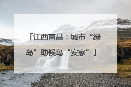江西南昌：城市“绿岛”助候鸟“安家”