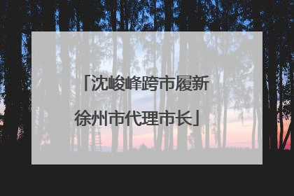 沈峻峰跨市履新徐州市代理市长