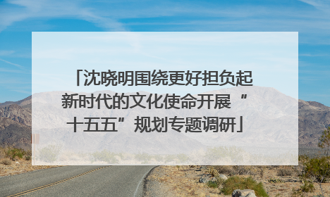 沈晓明围绕更好担负起新时代的文化使命开展“十五五”规划专题调研