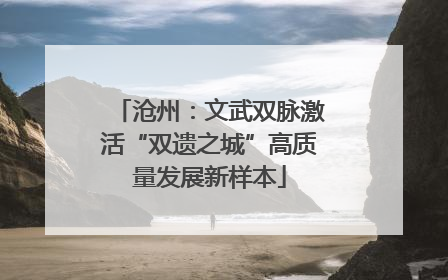 沧州：文武双脉激活“双遗之城”高质量发展新样本