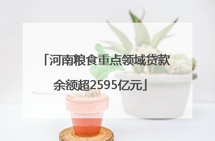河南粮食重点领域贷款余额超2595亿元
