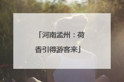 河南孟州：荷香引得游客来