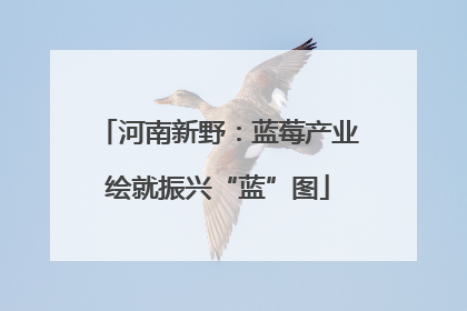 河南新野：蓝莓产业绘就振兴“蓝”图