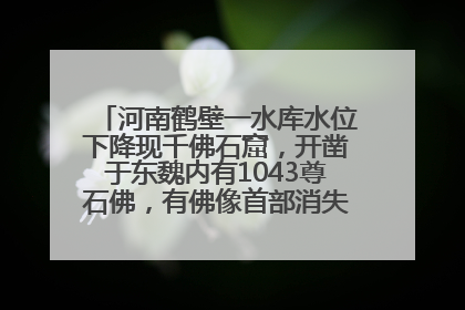 河南鹤壁一水库水位下降现千佛石窟，开凿于东魏内有1043尊石佛，有佛像首部消失，水库管理方回应