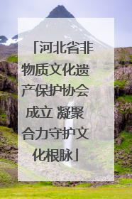 河北省非物质文化遗产保护协会成立 凝聚合力守护文化根脉
