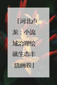 河北卢龙：小流域治理绘就生态丰饶画卷