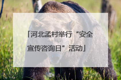 河北孟村举行“安全宣传咨询日”活动