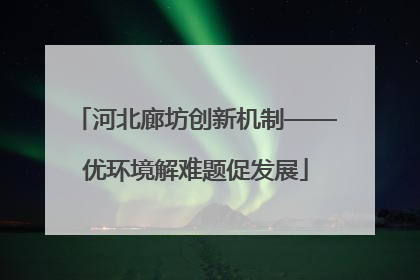河北廊坊创新机制——优环境解难题促发展