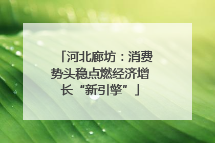 河北廊坊：消费势头稳点燃经济增长“新引擎”