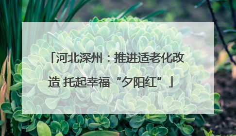 河北深州：推进适老化改造 托起幸福“夕阳红”