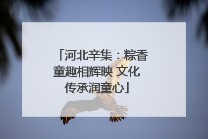河北辛集：粽香童趣相辉映 文化传承润童心