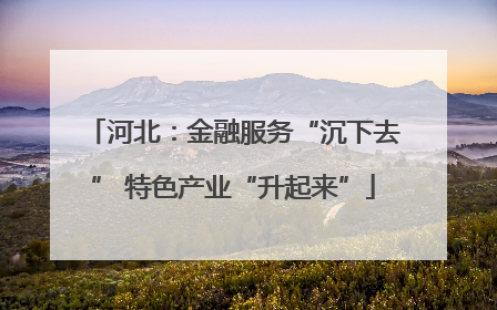 河北：金融服务“沉下去” 特色产业“升起来”