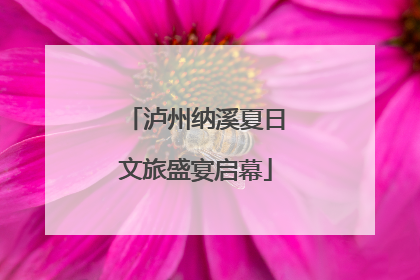 泸州纳溪夏日文旅盛宴启幕