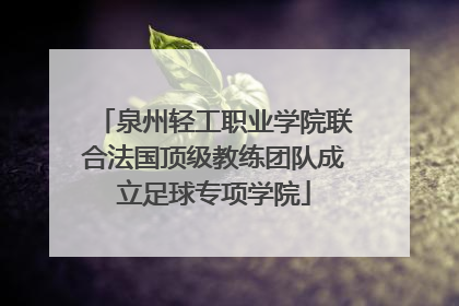 泉州轻工职业学院联合法国顶级教练团队成立足球专项学院