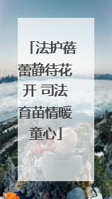 法护蓓蕾静待花开 司法育苗情暖童心